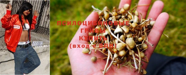 спайс Касимов